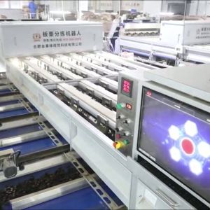 China Enhancing Chestnut Processing Efficiency and Quality: A High-Capacity, AI-Powered Sorting Machine with 8 Lanes and 8 Outlets for Diverse Needs supplier