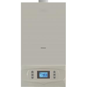 Home Appliance Wall Hung Gas Boiler With Microcomputer Automatic Control