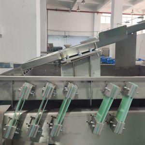 China Dehydrated Sweet Potato Cube Sorting System Identification and Advanced Imaging Sorting Solution wholesale