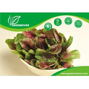 China Red Round Leaf Amaranth Seeds with with green edge for planting wholesale