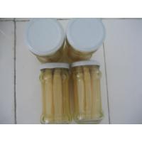 China Whole Canned White Asparagus High Nutritional Value Low Sugar And Fat on sale