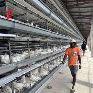 China Poultry Farm Computer Control Automatic Chicken Cage Equipment Modern Sandy supplier