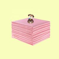 China Agility Training Direct Absorbent Dog Cool Pet Pads For Pet Toilet Training on sale