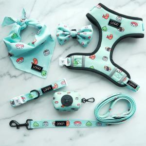 6 Piece Adjustable Dog Harness Vest Matching Collar Leash Bow Tie And Bandana Set