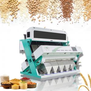 China 4 Chutes High Capacity Automatic Yellow Bean Green Bean Color Sorter Popular in the USA supplier