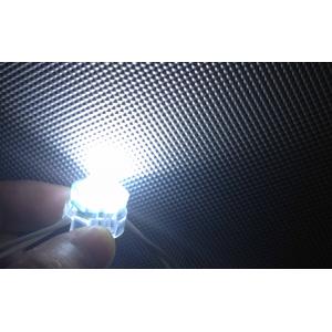 China Imported PC Shell Brightness DC12V SMD 5050 LED Pixel Light CE ROHS supplier