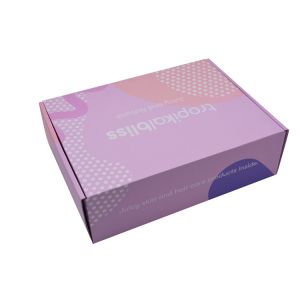 China Таможня напечатала коробки подписки/складную подарочную коробку для грузя упаковки wholesale