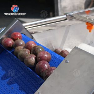 China Fruit orange pommes de terre wholesale