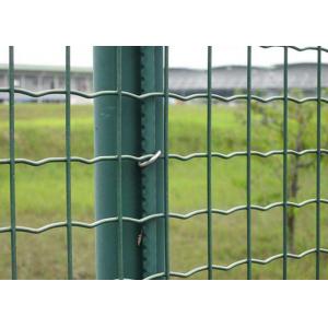 50×50mm Euro Style Fence Metal Wire Fence Electro Galvanized Surface
