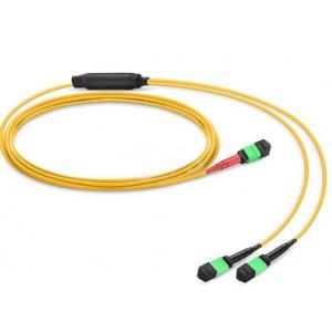 Conversion Harness OS2 MTP MPO Fiber Cable 24 Fibers Single Mode