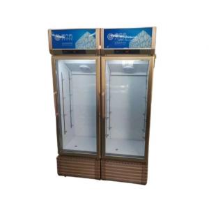 Double door refrigerator commercial freezer fresh drink freezer vertical beer freezer