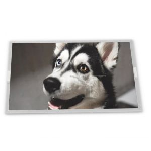 China Módulo de pantalla LCD WLED de 4.2 pulgadas LQ042T5DZ07 con pantalla LCD retroiluminada LED de resolución 480*272 para proveedores ODM supplier