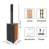 China Karaoke Line Array Speaker Bluetooth Portable Outdoor Wireless Speaker With Wheels wholesale