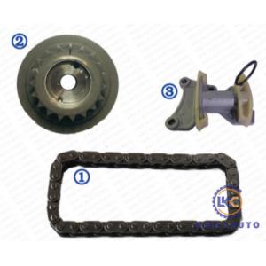 China Timing chain kit for AUDI TT A4 A3 BEETLE VW Golf EOS GTI JETTA GAS DOHC 1984CC 121 CU.IN 2.0L 06D109229A supplier