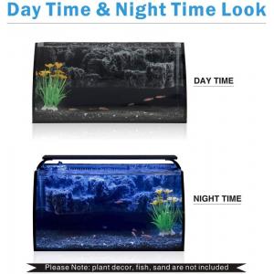 Hygger Small Fish Tank With Light And Filter