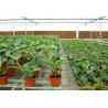 China ソース工場 鶏肉冷却セルパッド 養鶏場冷却パッド 冷却システム用 wholesale