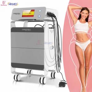 China 448khz Deep Beauty Tecar Therapy Machine Radiofrequency Cellulite Removal Machine supplier