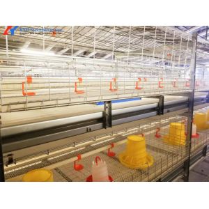 China Automatic Broiler Poultry Farming Equipment Galvanized H Type Battery Chicken Cages wholesale