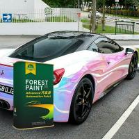 1K/2K Metallic Car Spray Paint
