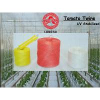 China 2.5mm Diameter Banana Twine , Agricultural PP Baler Twine 30 TPM Twisted on sale