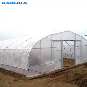 UV Resistant Single Span Clear Plastic Greenhouse Polyethylene Film Greenhouse