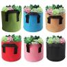 China Succulent plants bags, Febric planting pots, 1gallon, 2gallon felt flower planters wholesale