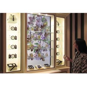 China Customized Interactive Showcase Interactive Display Case For Shopping And Museum supplier