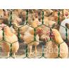 China Green Vinyl Coated Chicken Wire Mesh Roll With Hexagonal Pattern 1 / 2&quot; - 3&quot; wholesale