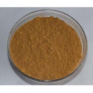GMP Supplier 1%-2% DNJ powder from white mulberry leaf extract