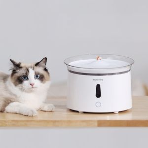 China Household Cat Water Fountain With Smart Automatic Circulation Filter And Low Noise wholesale
