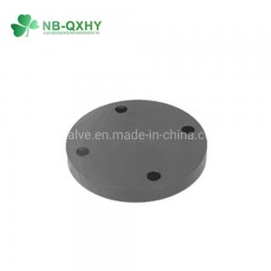 China Customized Request PVC Blind Flange with DIN Standard and Round Head Code supplier