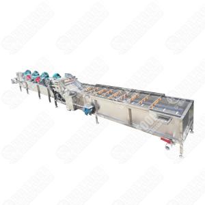 Direct Factory Pickled Ginger Washing And Cutting Machine Process Line With Packing Machine And Dewater Machine