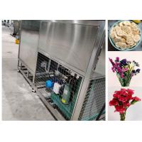 China 200kg/batch Capacity Food Vacuum Freeze Dryer Machine Equipment on sale