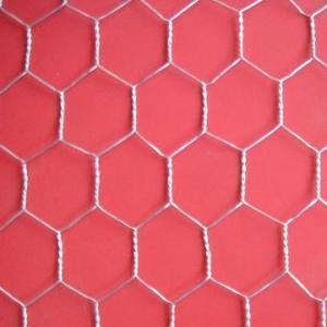 China Hot Dipped Galvanized  Hexagonal Wire Mesh With High Quality And Low Price supplier