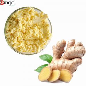 Low Price Natural Gingerol organic vegetable powder Powder Ginger Extract