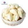 China Garlic Peeling processing production Machine minced garlic processing production wholesale