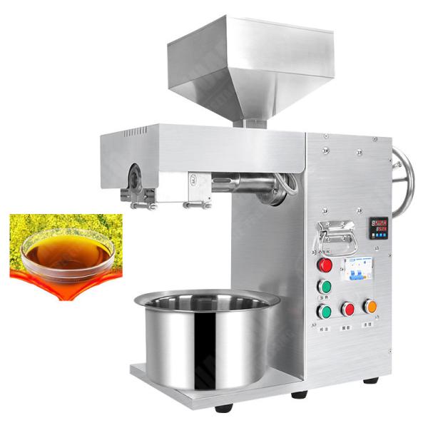 High Efficiency Olive And Walnut Kernel Oil Press Machine Vegetable Seeds Oil Pressing Squeezing Machine