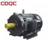 China Black Flange Mounted Motor 0.75kW-22kW IP54 With Thermal Protector Encoder wholesale