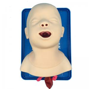 Neonate Intubation Cpr First Aid Manikins Medical Simulation Model