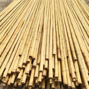 Подгонянный естественный бамбуковый бамбук сырья укрепляет диаметр длины 6mm 40cm 60cm 90cm