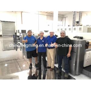 China Petal Type Flexographic Printing Equipment Multicolor Hamburger Box With 1/8cp Gearing wholesale