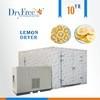 China Heat Pump Dehydrator Type Lemon Processing Machine on sale 