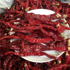 China 4 - 7cm Dried Red Chilli Peppers 99% Pure In Cool And Dry Place 50000 SHU supplier