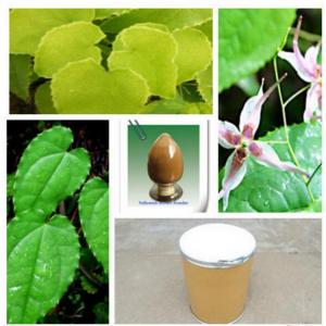 Epimedium PE 20% icariin