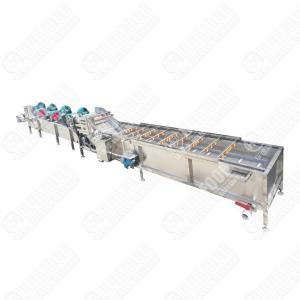 China Commercial Tomato Vegetable Fruit Washing Line Bean Sprout Washer And Drying Machine Blueberry Drying Cleaning Waxing Machine supplier