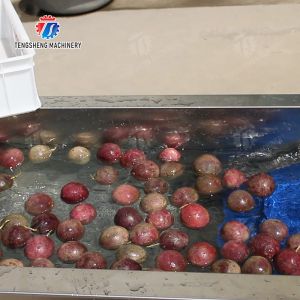 China Fruit orange pommes de terre wholesale