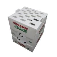 China PP Corrugated Plastic Storage Box Coropast Packing Box Rigid Lightweight on sale
