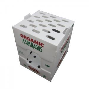 China Polypropylene Vegetable Packing Box PP Corrugated Plastic Box Customized Foldable supplier