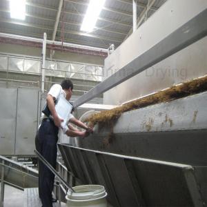Automatic Steam Heating Conveyor Belt Dryer Seaweed Belt Dryer Conveyor