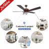 China Lighting and Circuitry Design 1stshine Ceiling Fan Light for Your Home Office Upgrade wholesale